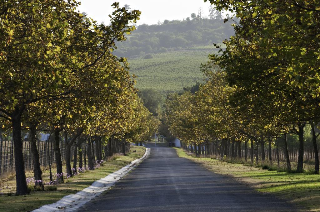 דירות Kuils River Saxenburg Wine Farm מראה חיצוני תמונה